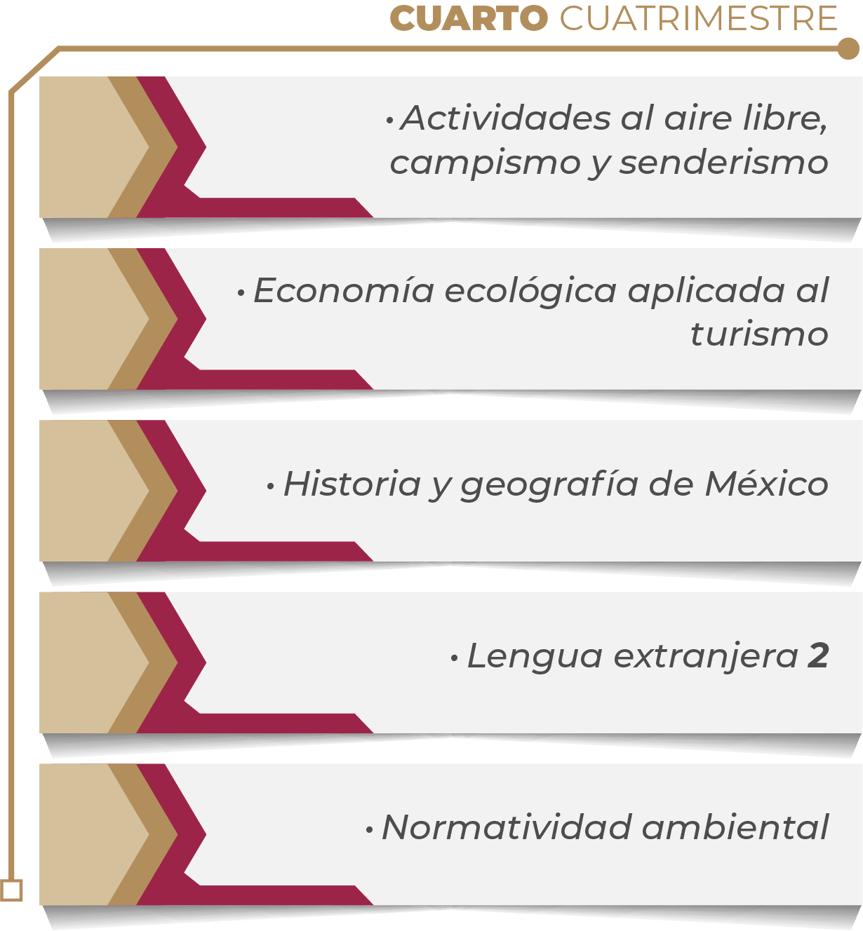 MAPA CURRICULAR SOFTWARE